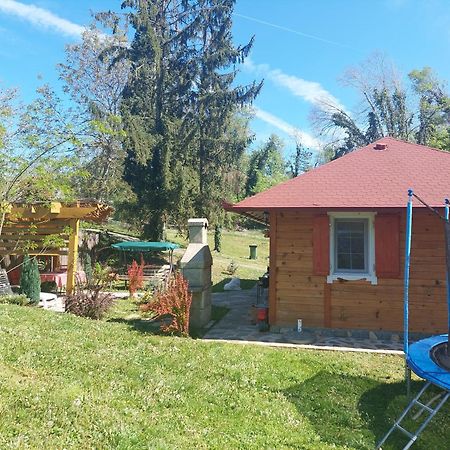 Brvnara Kraj Dunava Zelena Oaza Banostor Luaran gambar