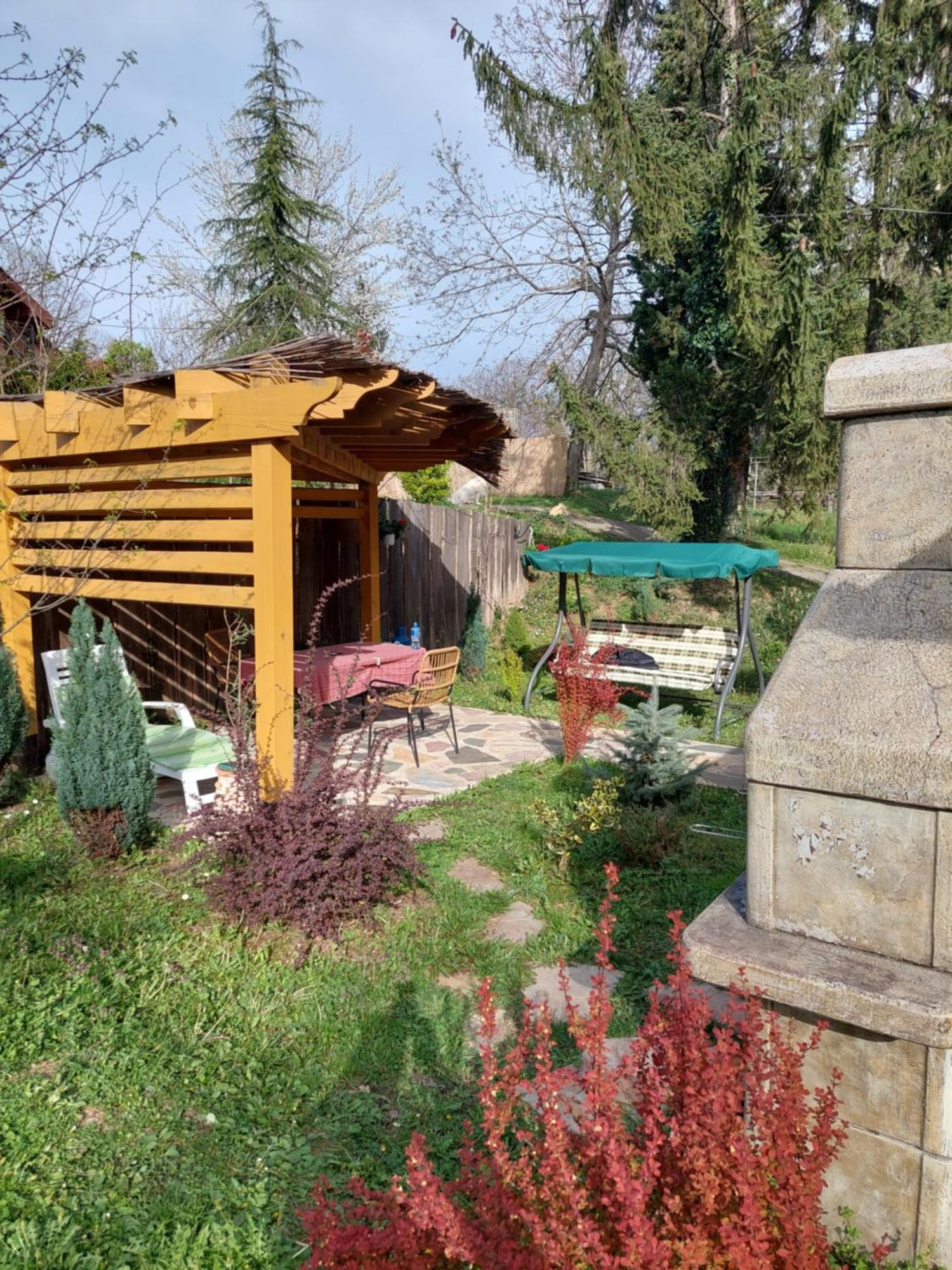 Brvnara Kraj Dunava Zelena Oaza Banostor Luaran gambar